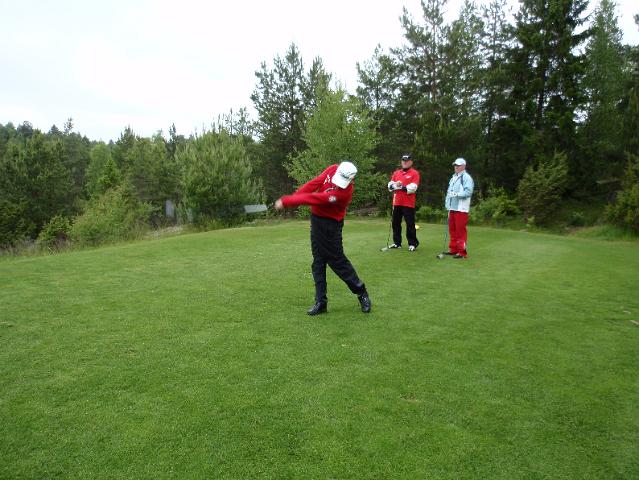 P6190141.JPG - Napon tyylinäyte