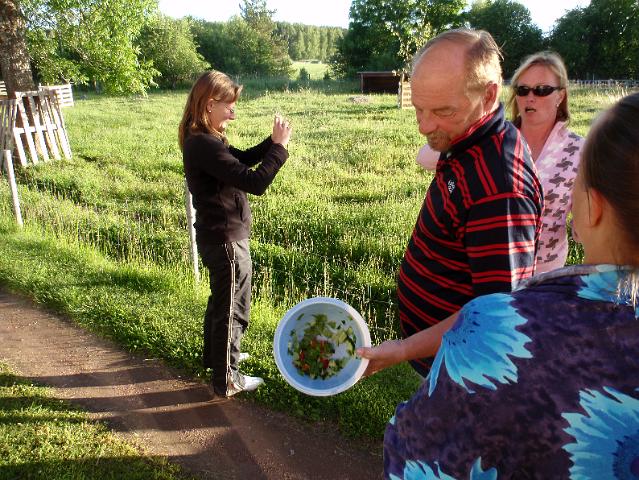 P6210194.JPG - Ja ei kelvannut lampaille salaatti