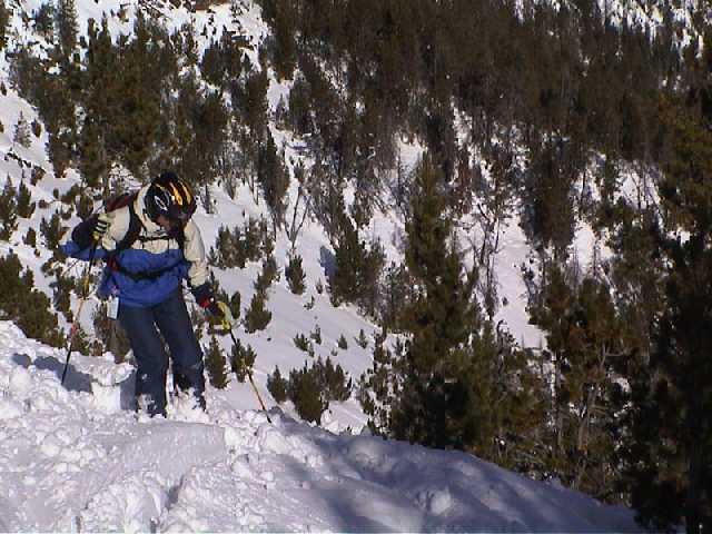 andor003.jpg