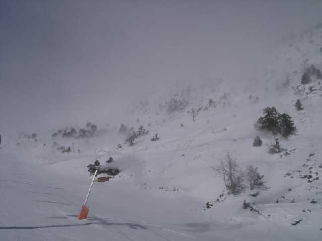 andor138.jpg