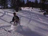 andor015