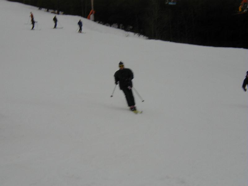 P3300002.JPG