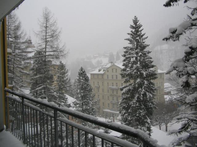 0202002.jpg