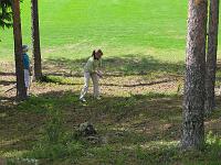 golf1 011