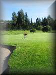 kodeopen2006.jpg