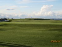 IMG 3582